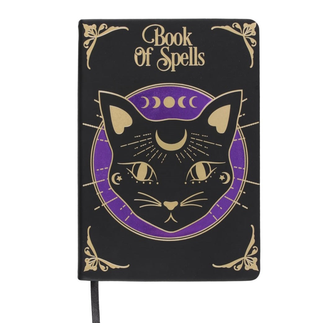 Mystic Mog Book of Spells A5 Notebook