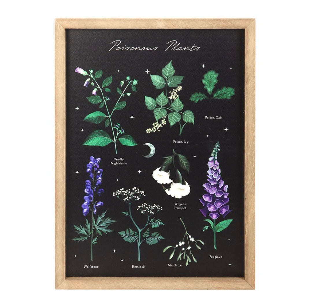 Poisonous Plants Framed Wall Art Print