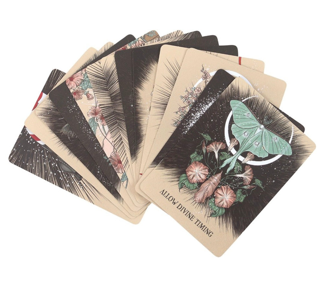 Fated: A Pocket Love Oracle Cards