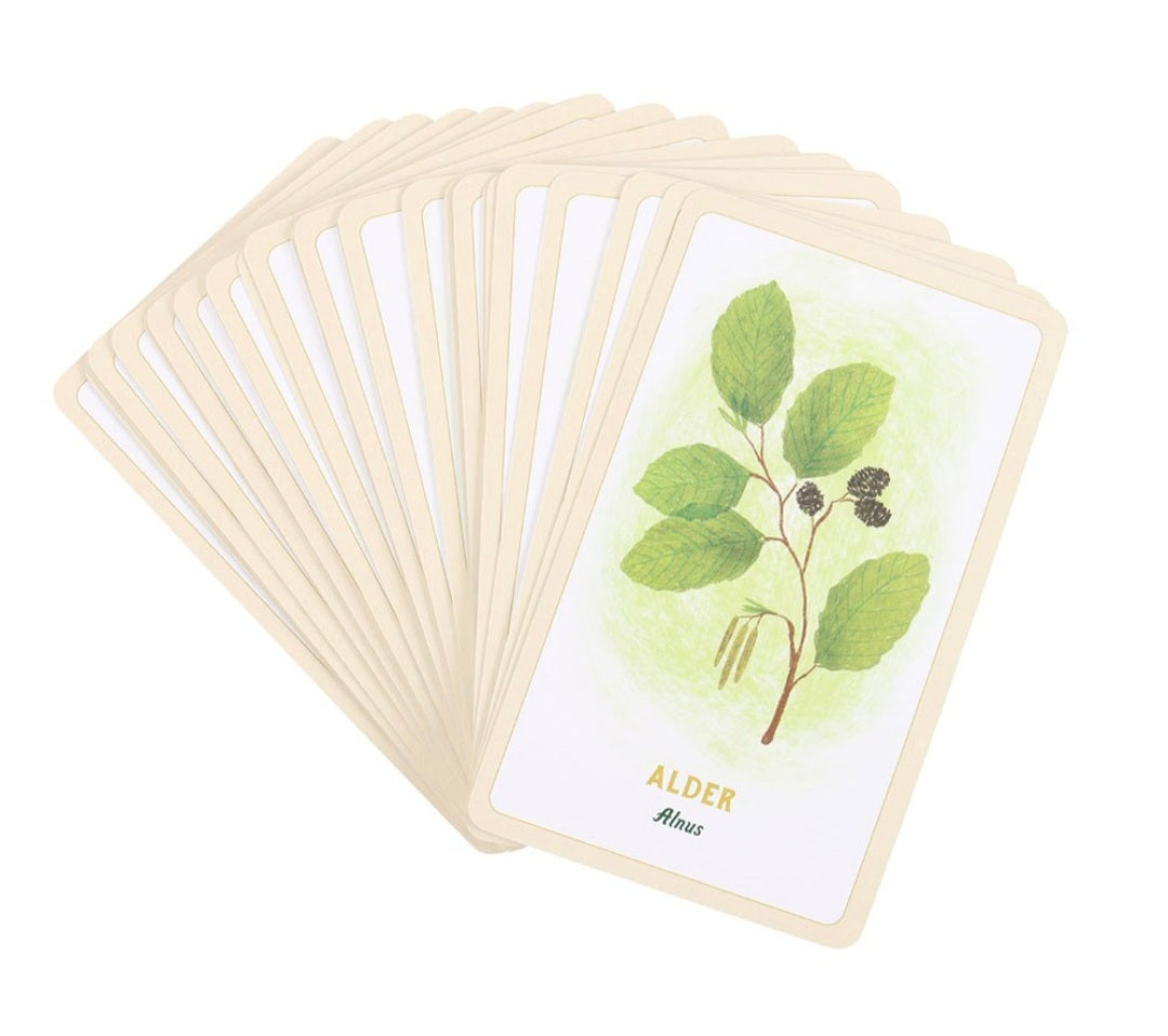 Oracle Cards
Forest Magic Oracle Cards